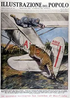Consequence: LEOPARD AND PLANE