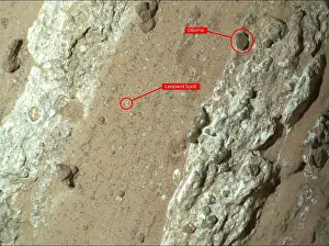 Spots: Leopard Spots on Mars (Annotated)