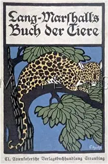 Haase: LEOPARD UP A TREE/HAASE