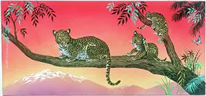 Samaraweera: Leopardess and two cubs on branches of tree