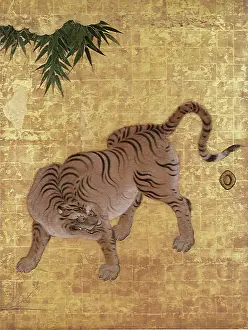 Causes: Leopards