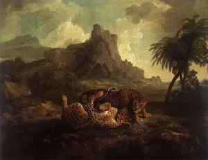 1763: Leopards at Play, by Stubbs