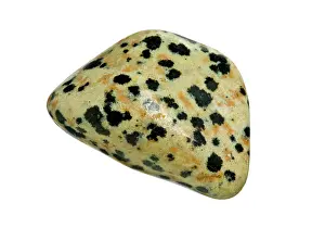 Polished: Leopardskin stone