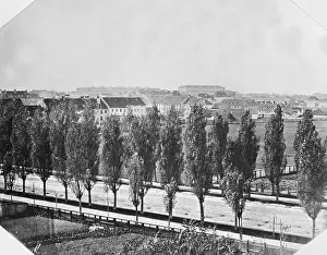 Leopoldstrae: The Leopoldstrasse in Munich around 1860