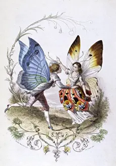 Anthropomorphised: Lepidoptera Dance