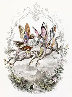 Anthropomorphised: Lepidoptera Ride, Kiss