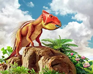 Multi Colored: Leptoceratops and his favorite plants