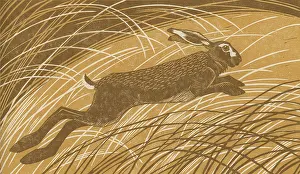 Leap: Lepus Leap - Hare