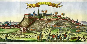 Bodenehr: Lerida