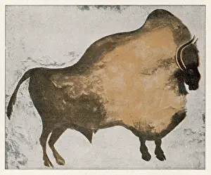 Artworks: LES EYZIES BISON (1)