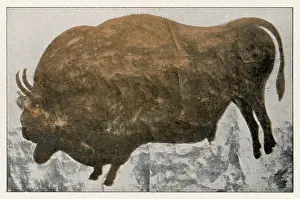 Artworks: LES EYZIES BISON (2)