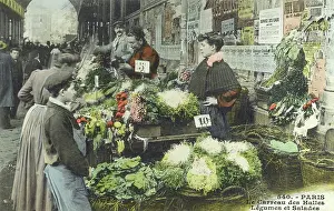 Lettuce: Les Halles Market, Paris