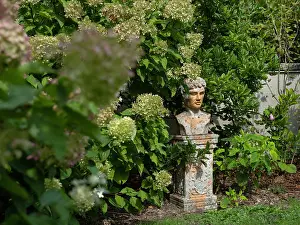 Hydrangea: Les Jardins de Soussilanges, Le Bourg, Ceron, Burgundy