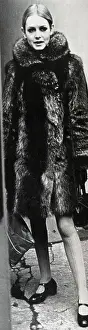 Raccoon: Lesley