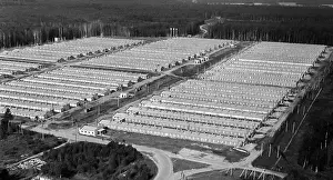 Dynin: Lesnaya Poultry plant
