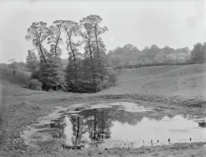 Nunn: Lesnes Abbey - The Conduit Pond