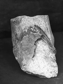 Nunn: Lesnes Abbey - Heel & Spur Deluce