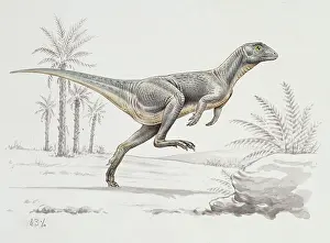 Lesothosaurus: Lesothosaurus