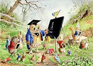 Hedgehogs: Lesson taught by Owl