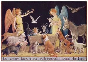 Bunnies: Let Everything that hath breath, praise the Lord