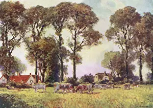 Letchworth: LETCHWORTH/PASTORAL 1913