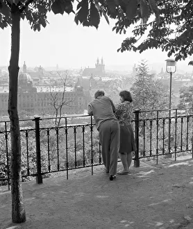 Orchards: Letna Orchards - couple - lovers