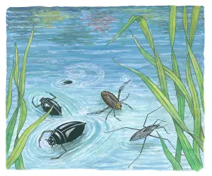 Ella: Let's Look at Some Insects