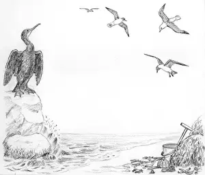 Cormorant: Let's Visit the Seaside