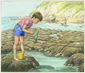 Shrimping: Let's Visit the Seaside
