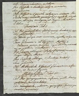 Minas: Letter from Vandelli, Domenico