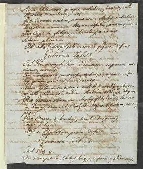 Minas: Letter from Vandelli, Domenico