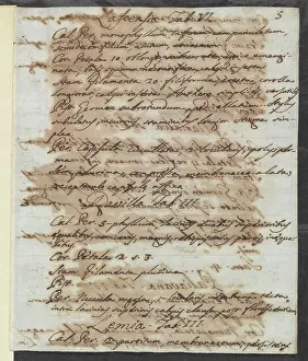 Minas: Letter from Vandelli, Domenico
