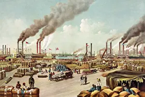 Currier: The Levee, New Orleans, 1884