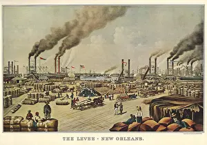 Levee: The Levee - New Orleans