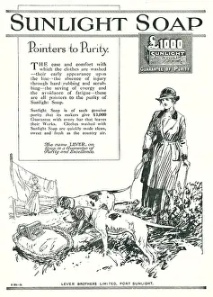 Cleanser: Lever Brothers Sunlight Soap Advertisement