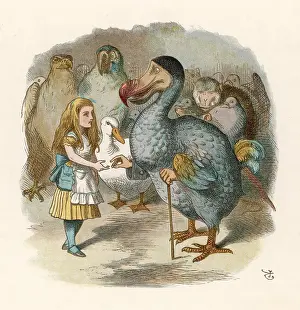 Dodo: Lewis Carroll - Alice - the Dodo