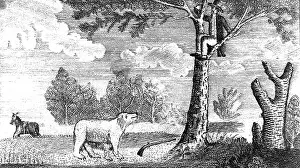 Transcontinental: Lewis and Clark Expedition, 1804-1806