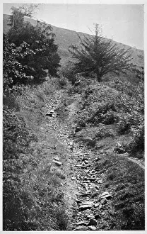 Combining: LEY LINE TRACKWAY