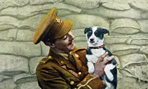 Boche: LIBERATED DOG 1918