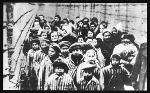 Freed: LIBERATION OF AUSCHWITZ