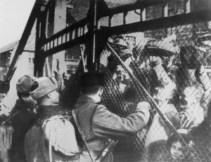 Jubilation: LIBERATION OF AUSCHWITZ