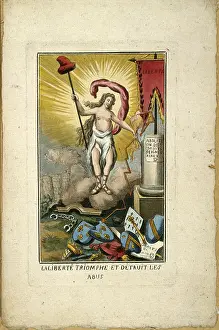 Fleur: Liberty Triumphing and Destroying the