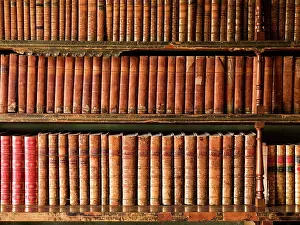 Spines: Library at Brodsworth Hall