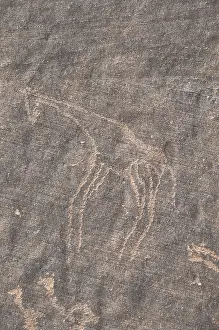 Desertifications: Libya. Tadrart Acacus. Archaeology