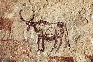 Acacus: LIBYA
