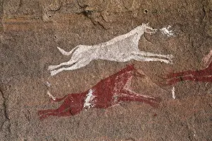 Eumetazoa: LIBYA. Tadrart Acacus. Representation of dogs