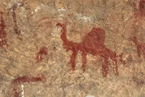Dromedary: LIBYA. Tadrart Acacus. Representation of a dromedary
