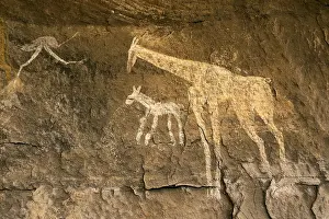 Zoomorphic: LIBYA. Tadrart Acacus. Representation of giraffes