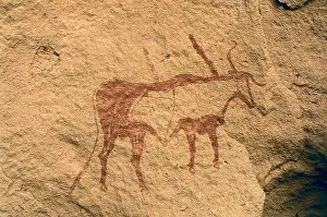 Zoomorphic: LIBYA. Tadrart Acacus. Zoomorphic drawing (circa