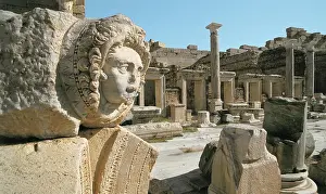 Severus: LIBYA. TRIPOLI. Leptis Magna. Forum built during